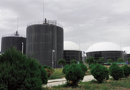 Làm thế nào để chọn một giá đỡ Biogas màng kép?